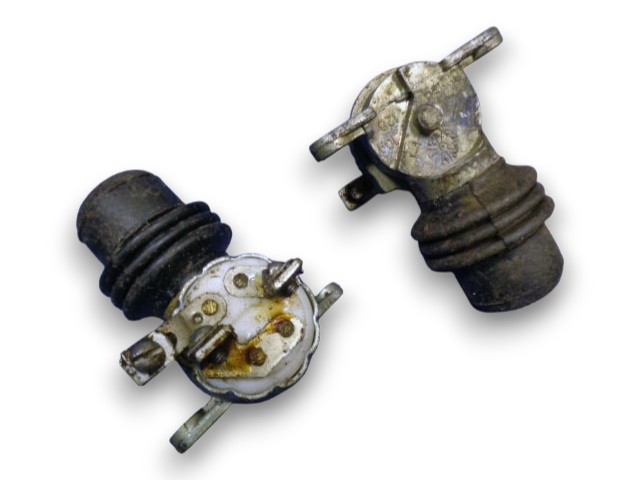 p53 (1)